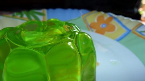 gelatina-lumix-tz7
